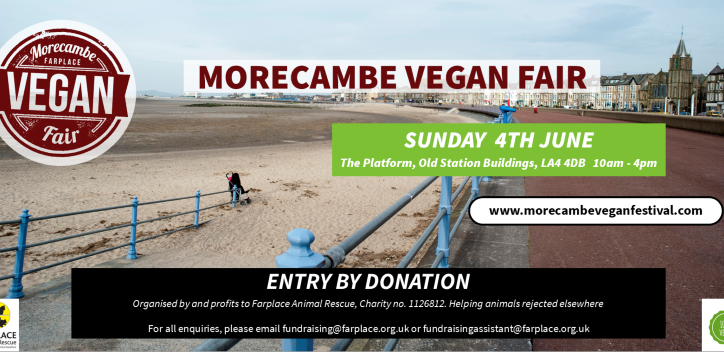 Morecambe vegan fair graphic