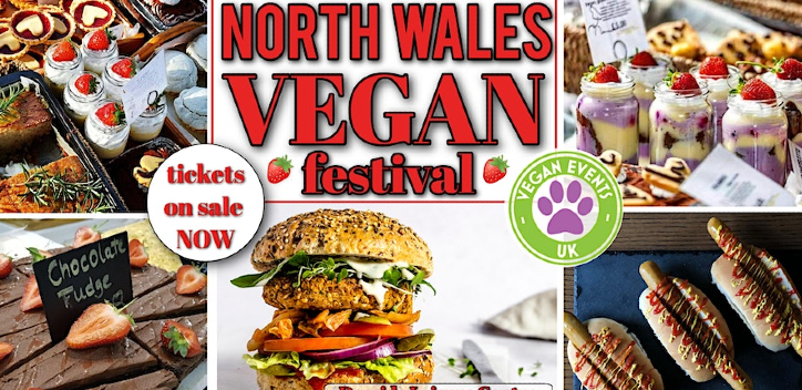 North Wales Festival thumbnail
