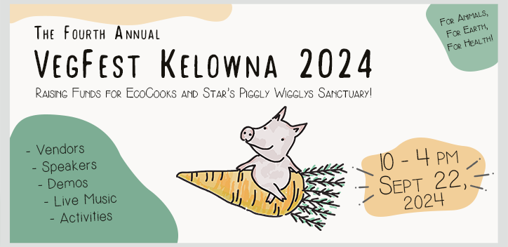 Vegfest Kelowna graphic - raising funds for ecocooks 