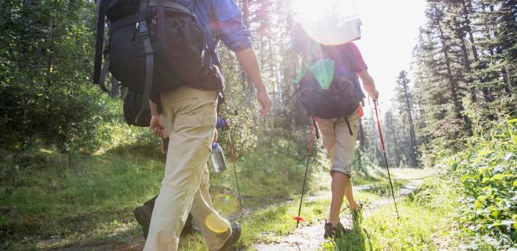 People trekking through the forest