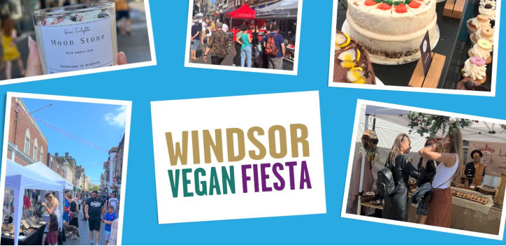 Windsor vegan fiesta graphic