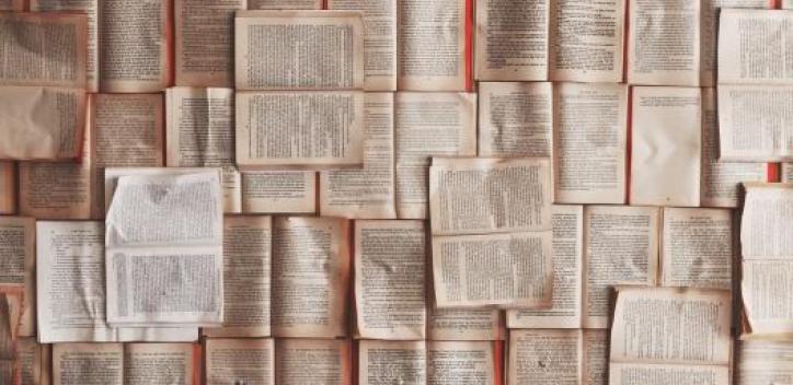 books; text; review
