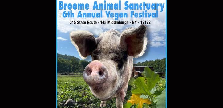 broome animal sanctuary vegan festival 2023
