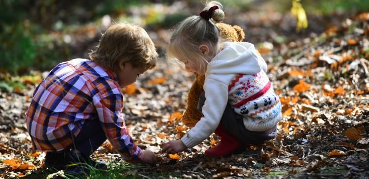 Children exploring the forest