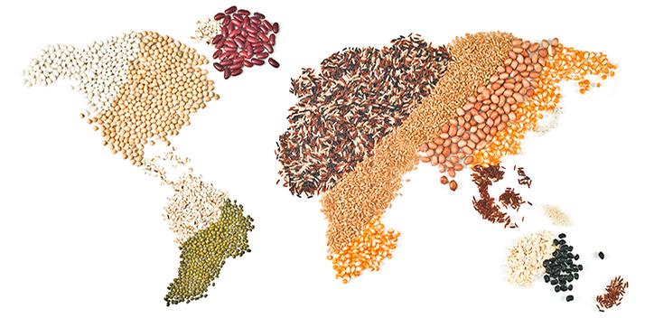 Map of the world in grains and lentils