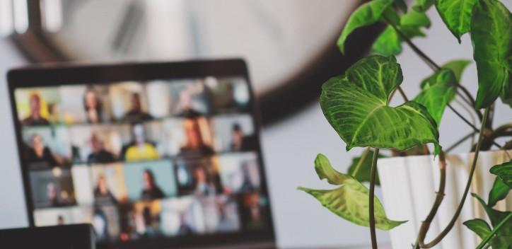 online call on a laptop with plant in the foreground