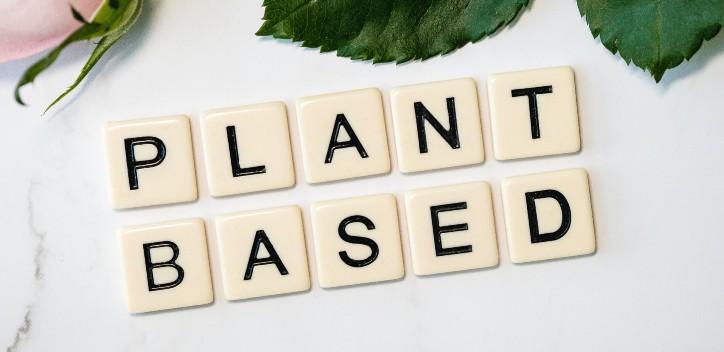 letters spelling plant based against a plain background and leaves