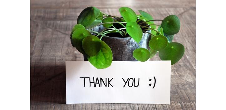 thank you; plant