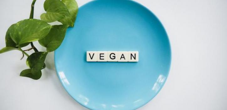 The word "Vegan" in block capitals on a circular plate with foliage on the lefthand side.