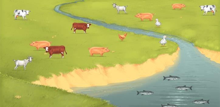 cartoon field with cows and sheep