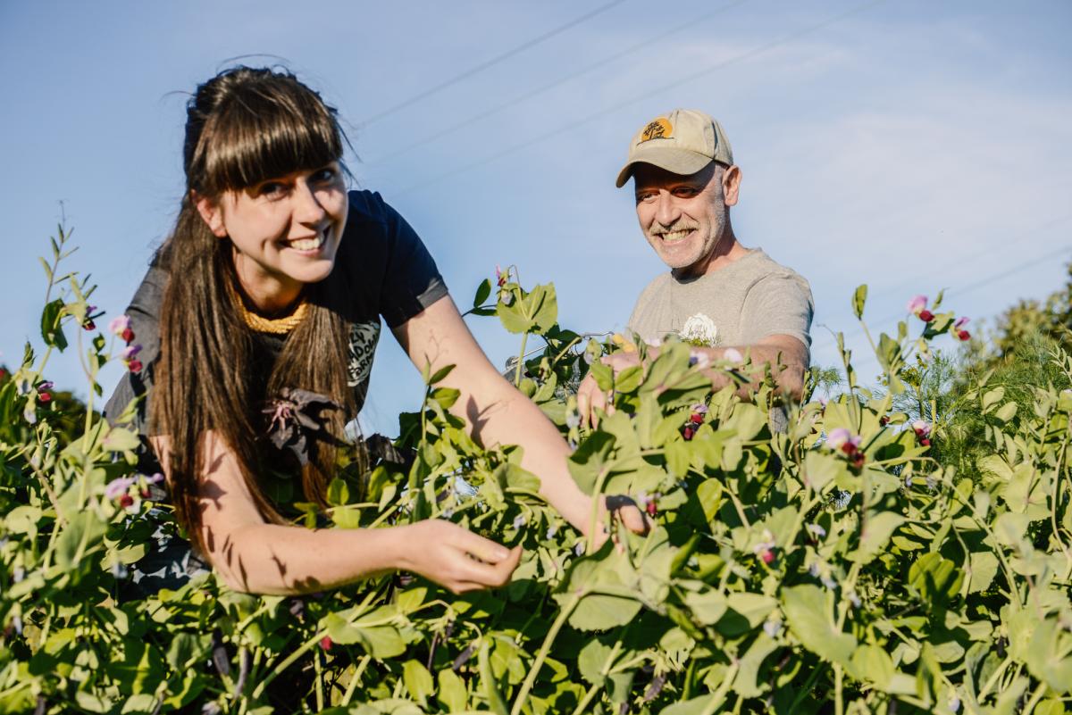 Two smiling farmers in a pea field