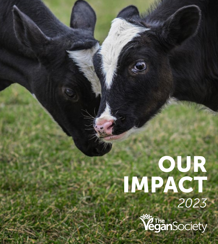 Our Impact Report cover image, a photograph of two cows grazing on grass