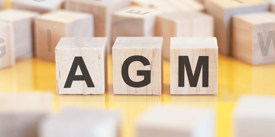 letter cubes spelling AGM