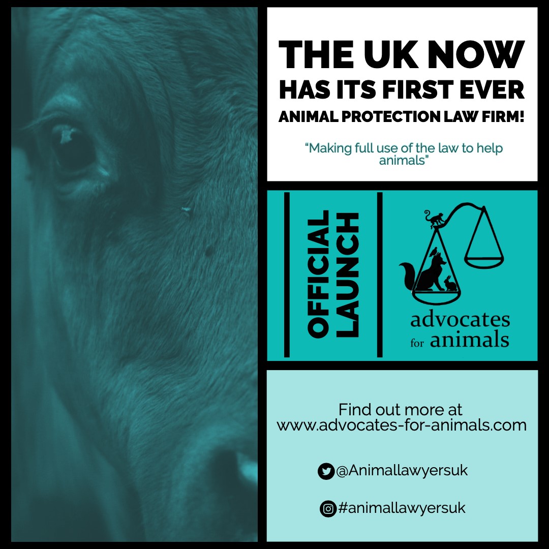 First ever animal protection law firm launched in the UK | The Vegan Society