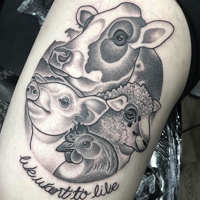 vegan tattoos the vegan society vegan tattoos the vegan society