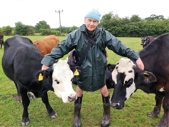 A photo of Jay Wilde stood surrounded by cows.