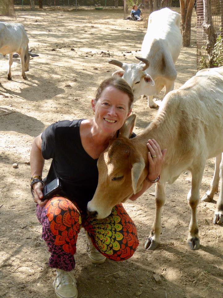 Caroline at Animal Aid Unlimited.