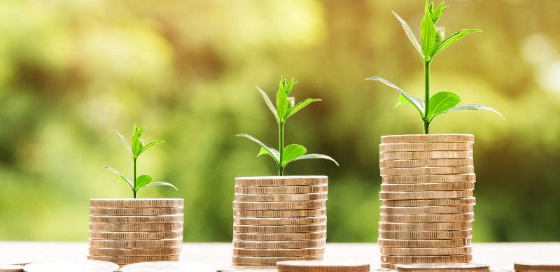 money stacked with green plants