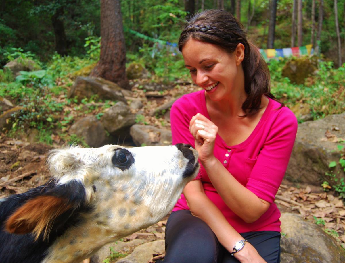 A wild cow makes friends with Lorna in Bhutan