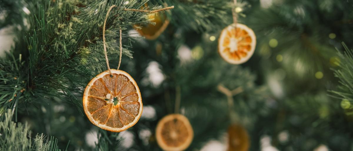 Dried oranges on Christmas tree
