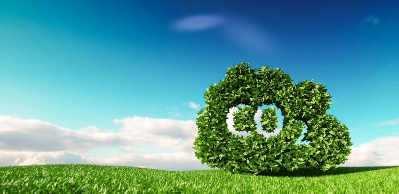 Blue sky and green grass with hedge cut into a CO2 shape