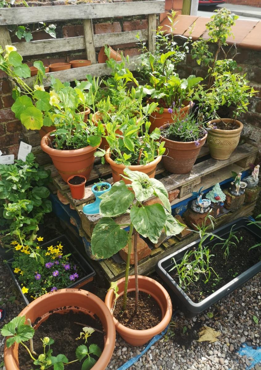 Mini 'driveway garden' made from pallets, potted flowers and vegetable plants 