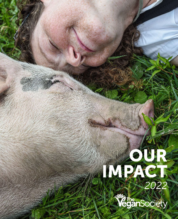 Our Impact Report for 2022, a photograph of a pig and a person lying heads together on grass