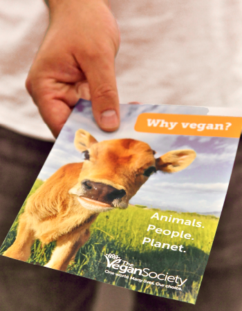 Image of a Why Vegan? brochure