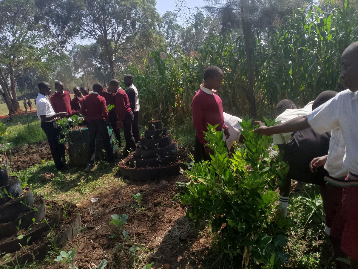 A school learning how to farm vegetables
