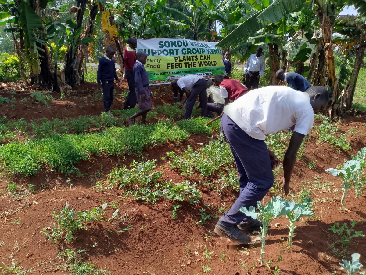 A school learning how to farm vegetables