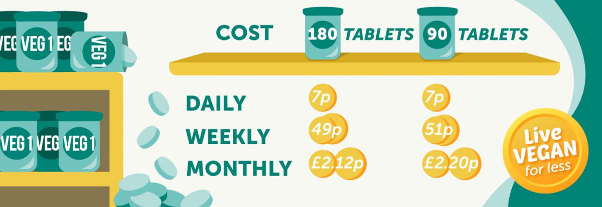 Infographic of VEG 1 cost breakdown