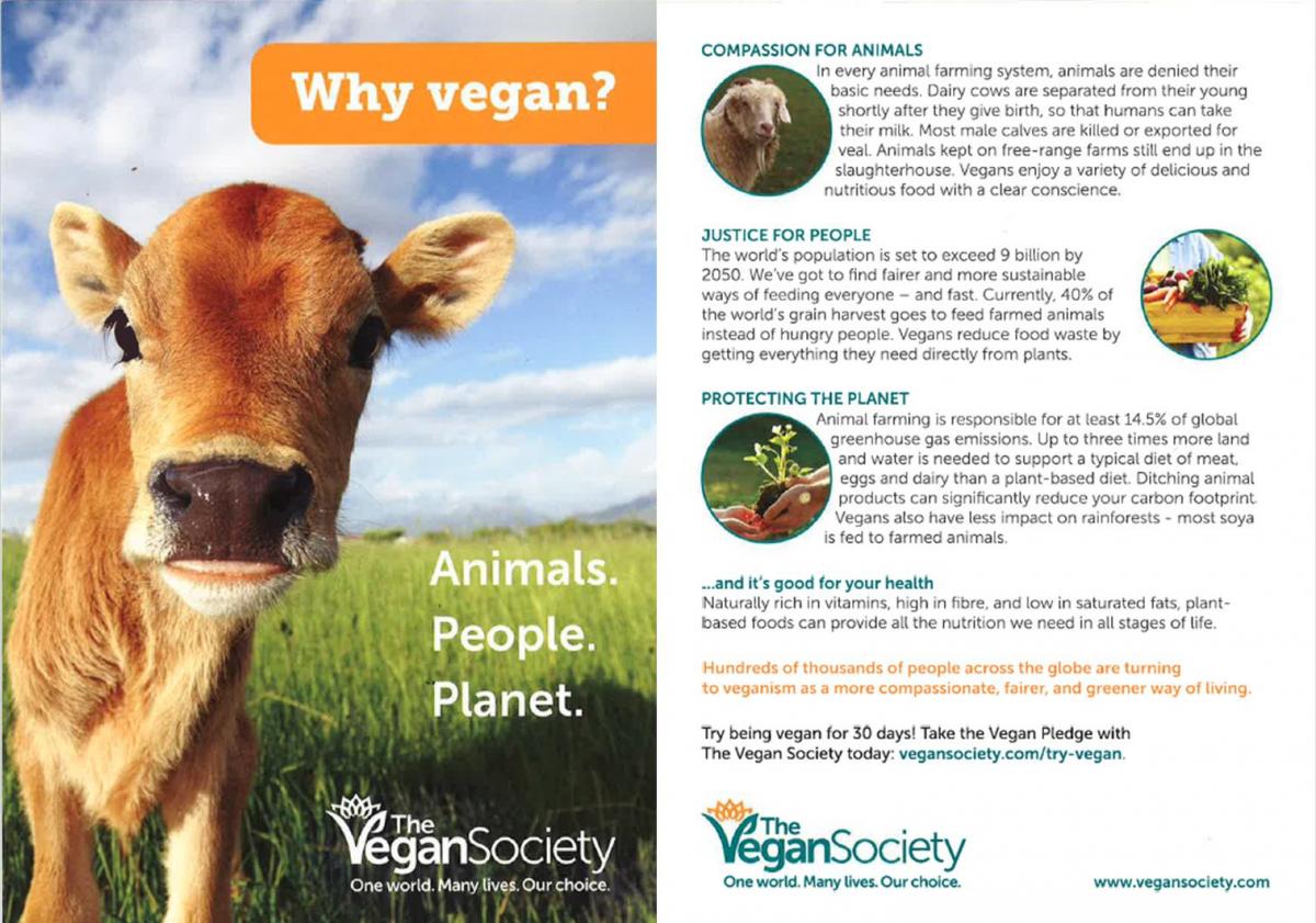 Image result for leaflet about vegetarianism