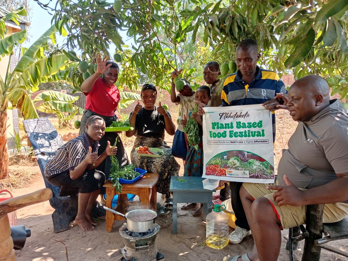 Nkhotakota Taste of Tomorrow Festival A Celebration of Local Flowers & Plant-Powered Possibilities Malawi 1