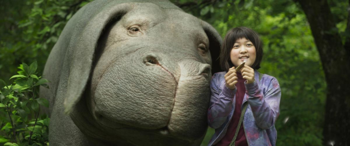 photograph taken from Okja