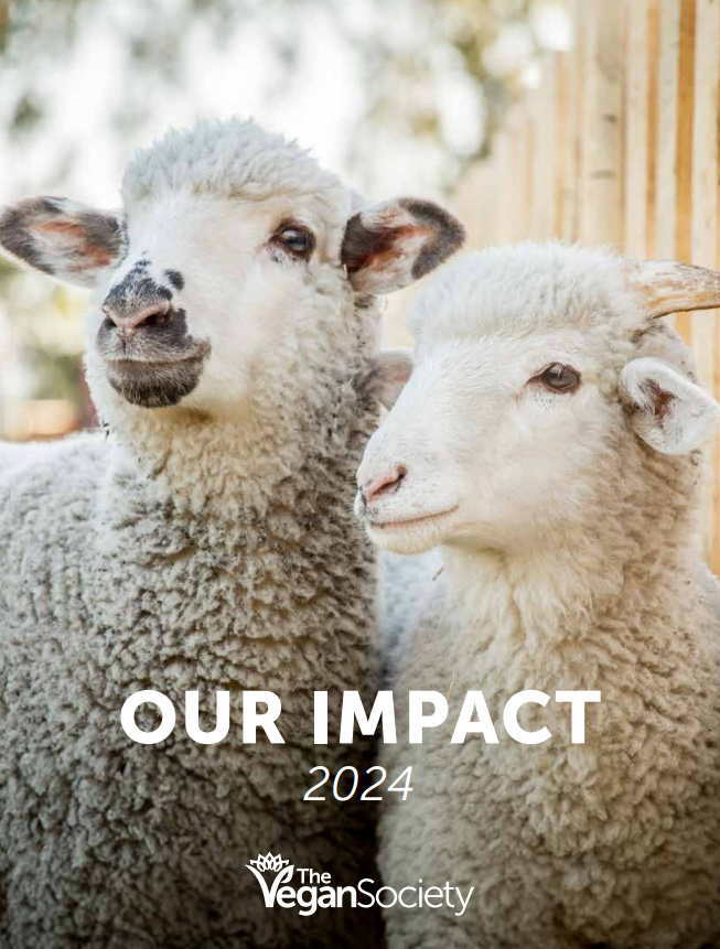 Our Impact 2024
