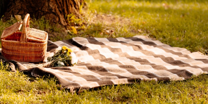 Picnic basket in the sun