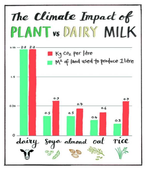 Graph showing the clime impact of plant vs dairy milk