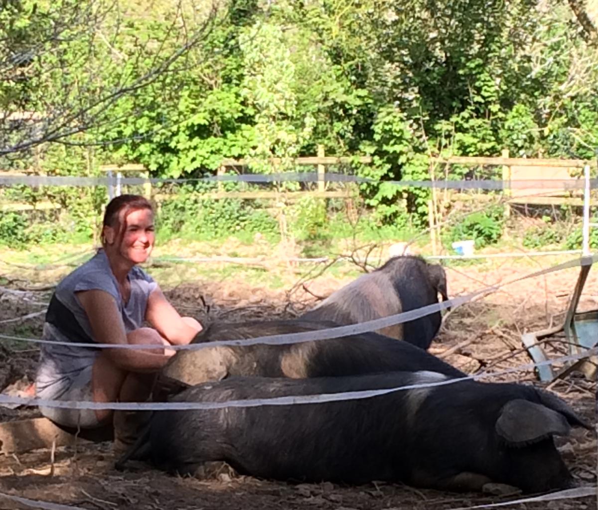 Chris sitting next to three pigs, Flora, Fauna and Fabulous