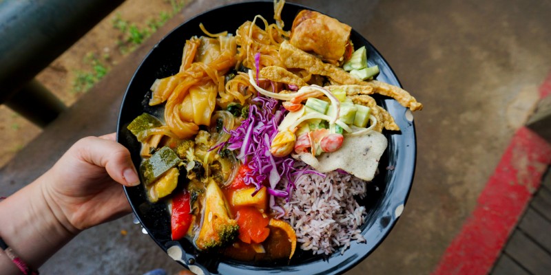 Vegan food at Elephant Nature park in Thailand