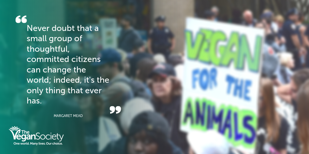 Social media graphic with Margaret Mead quote "Never doubt that a group of thoughtful, committed citizens can change the world; indeed, it's the only thing that ever has." Over a protest for animals image.