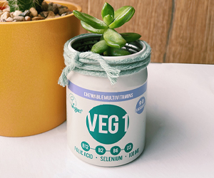 VEG 1 as a plant pot