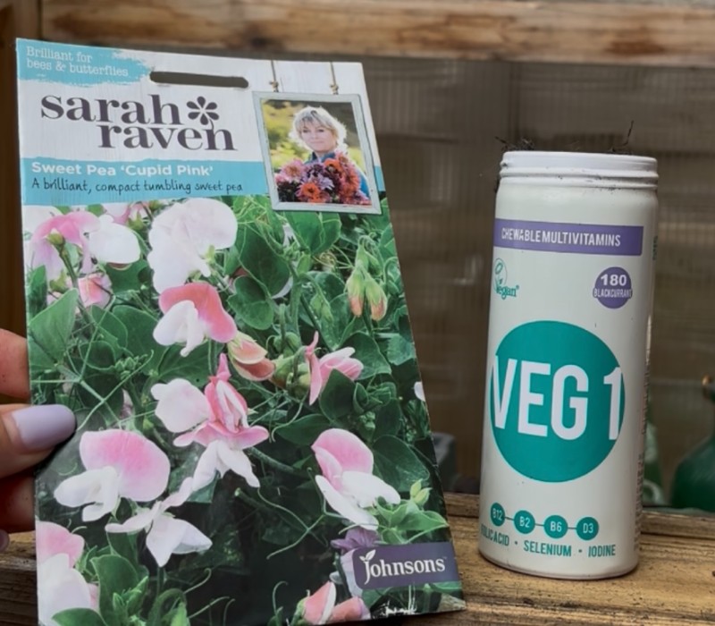 VEG 1 tin repurposed for sowing seeds