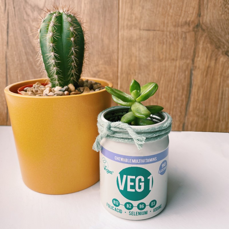 VEG 1 tin repurposed as a plant pot