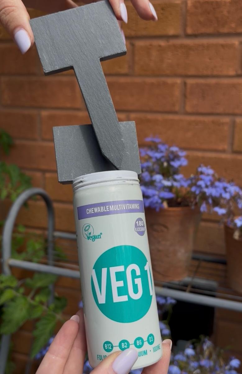 VEG 1 tin repurposed for holding garden tools