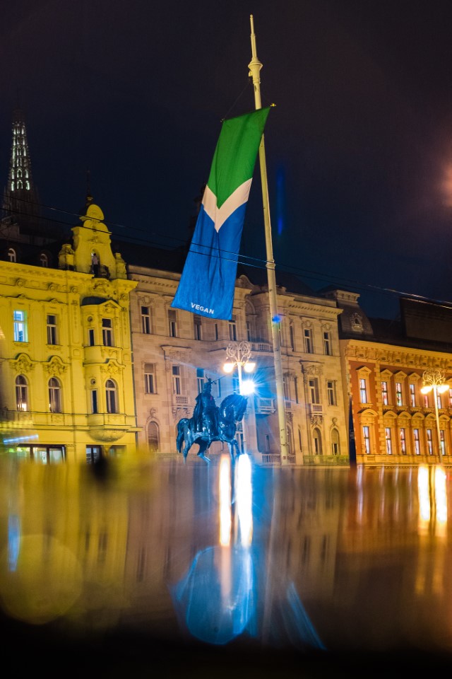 vegan flag in Croatia with a statue
