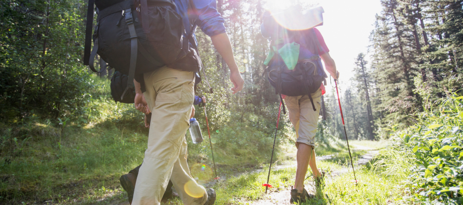 People trekking through the forest