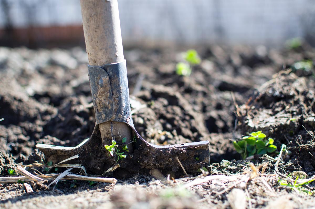 Brown Shovel Photo by Lukas from Pexels