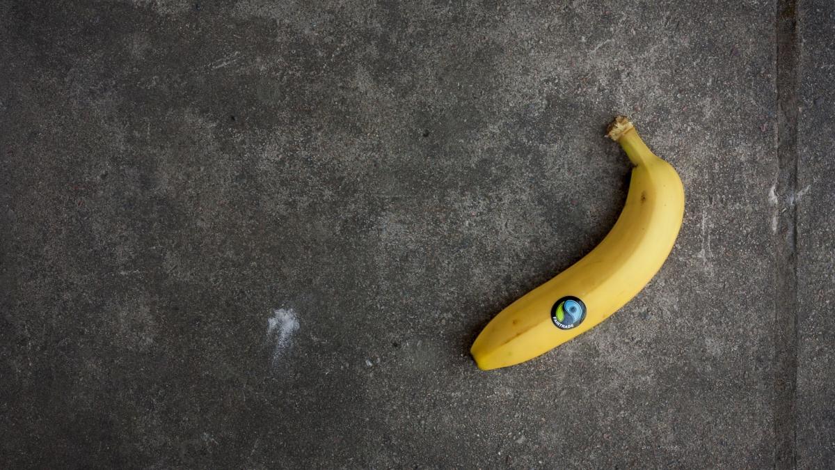 fair-trade banana against a grey background