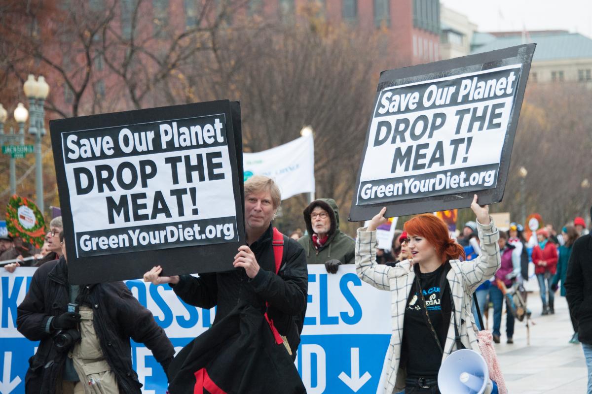 Enviromental vegan protesters 