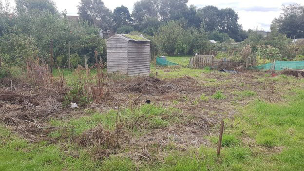 Allotment plot looking overgrown, with no vegetables growing and in need of much care and attention